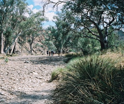 A dry creek bed in the Flinders Ranges, South Australia.